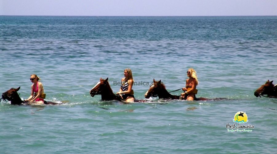 Horseback riding day trip from Falmouth