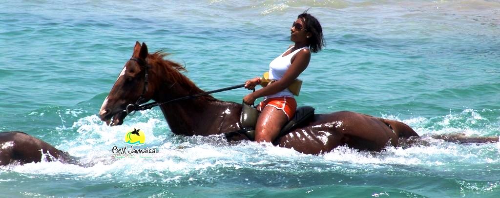 Horseback Ride and Swim from Falmouth Cruise Port