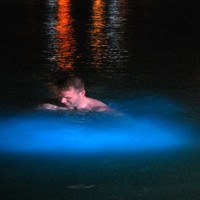 Luminous Lagoon Tour